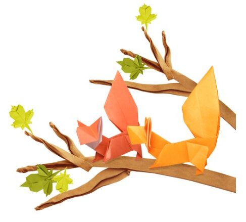 Origami Fun